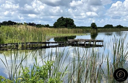 Nichols Apartamento | The Exclusive Tatman Evergreen Suite