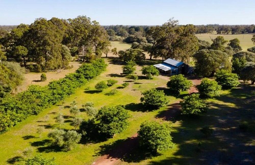 Rosa Brook Otro | Moonrise Farm