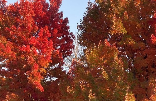 Eagle Point Otro | Open for the Holidays