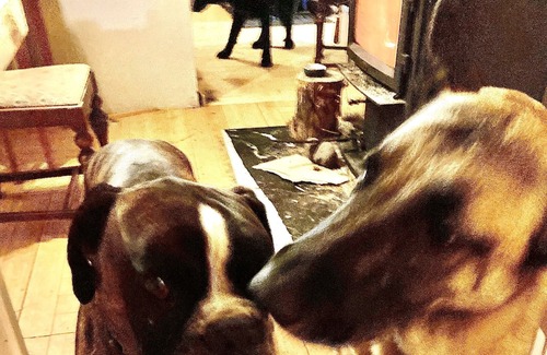 Eagle Point Otro | Open for the Holidays