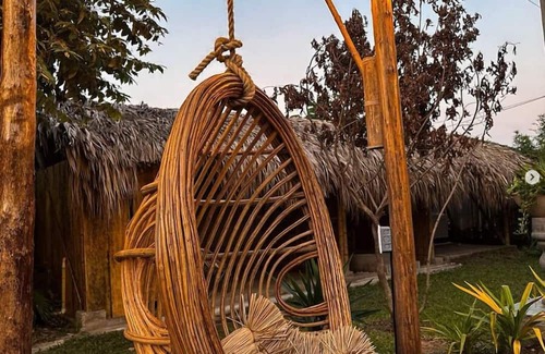 Palomino Cabina | Yue PALOMINO