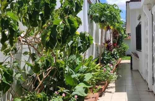 Santa Cruz Hotel | Hostal Backpackers Travelero