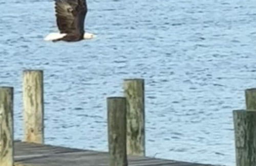 Chester Cabaña | Kent Island Waterfront Cottage