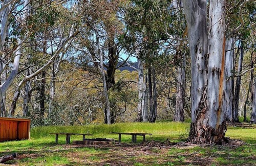 Adaminaby Cabina | Your gateway to an unforgettable holiday experience in the stunning Snowy Mountains!