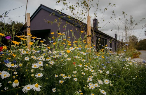 Laragh Cabaña | Welcome to The Deerstone Hideaway.n