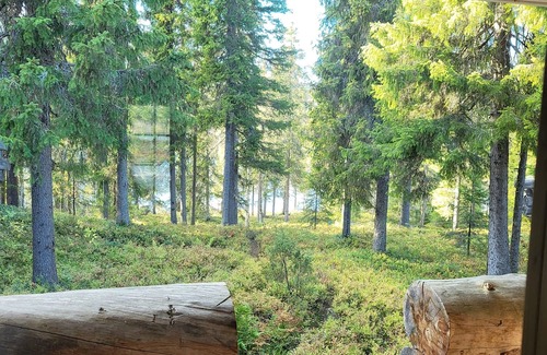 Rukatunturi Cabina | Authentic Lapland Log Cabin, Private Sauna & Fireplace & Northern Lights in Ruka