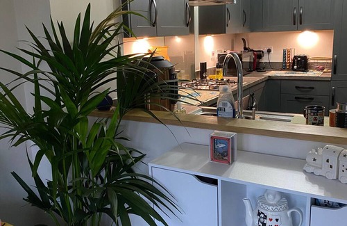 Tamworth Cama Y Desayuno | The Cottontail - Standard Private Room With Breakfast - Tamworth