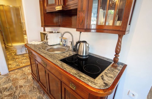 Tomasikovo Apartamento | Apartman vintage A101