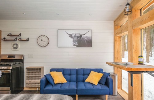 Jay Casa | Forest Bathing: Off-Grid Tiny Home, Pond w/Kayak