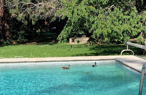 Plombiees-Les-Dijon Casa | Gite la source de neuvon