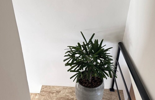 Senhor Do Bonfim Apartamento | House 48 - Gamboa