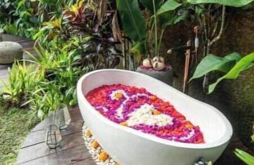 Selat Apartamento | Eden House