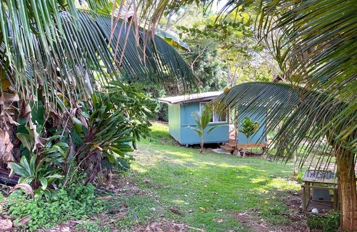 Kealakekua Cabina | Cute Cabin for Two Surrounded by Nature for a Peaceful Getaway in Kealakekua, Hawaii