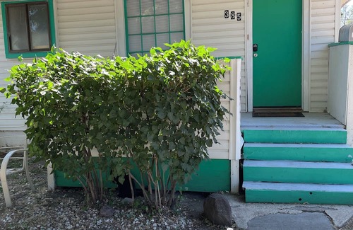 Mountain Home Apartamento | Comfy Abode, pet friendly 3 bedroom apartment in Mountain Home with WiFi and AC.