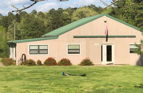 Caddo Gap Cabaña | Fabulous 4-bedroom cottage with AC in charming Caddo Gap