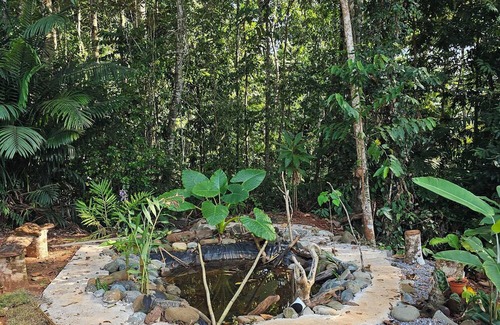 Golfito Casa | casa jaguarjundi 3-bedroom house in charming PAVONES, AC, pool, view ocean