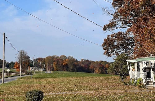 Quarryville Casa | Charming 1-bedroom house in awesome Kirkwood with AC