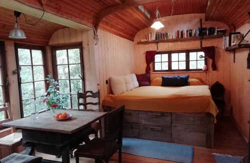 Alzenbach Cabina | Circus wagon star tent