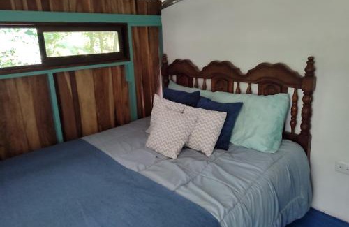 Chachagua Otro | Habitación rodeada de las copas de los árboles