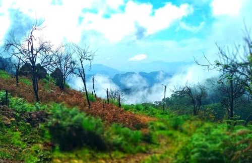 Kodaikanal Complejo | The Place ...The Experience