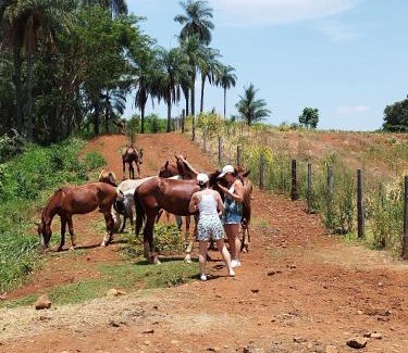 Casa Branca Casa | Fazenda Cachoeira