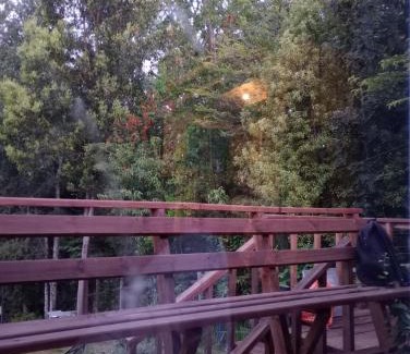 Lican Ray Apartamento | Lican Ray 2024