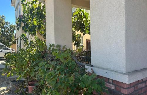 San Bernardino County Casa | Comfort vacancy