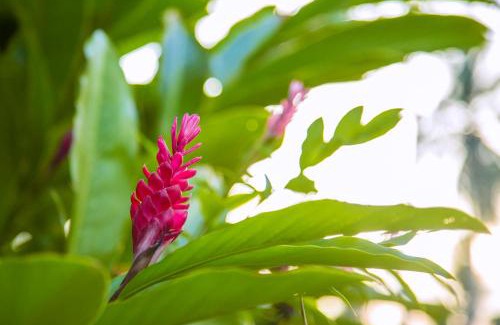 Kaduwela Hotel | Villa Crystals