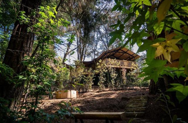 Pecana, incredible lodge in the forest with