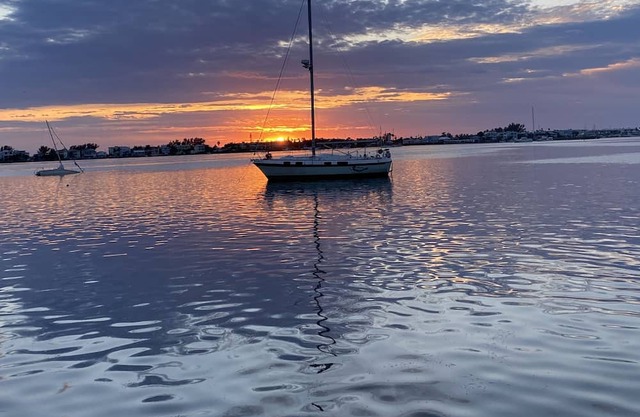 The Sailor Park