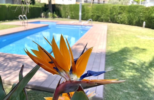 APARTBEACH - PANORAMIC WITH BEACH AND POOL VIEWS