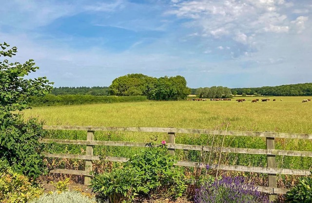 1 bedroom accommodation in Gautby