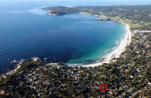 Nido de codorniz en el Carmelo Area Point en Carmel CA