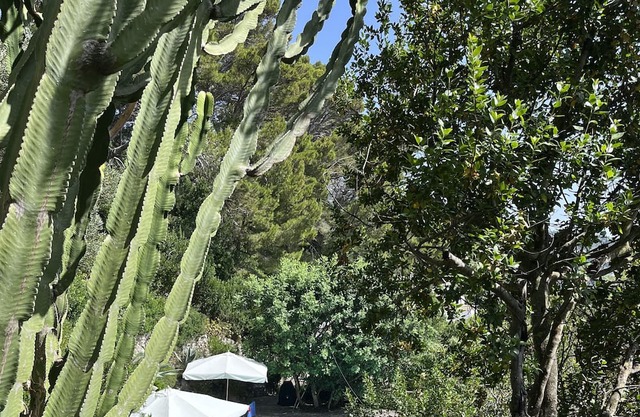 Peaceful Capri Garden Studio Villa with superb swimming pool and views