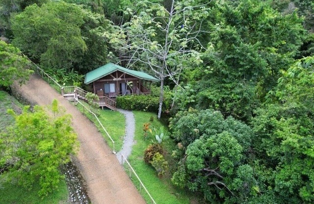 Great views of Ocean and Jungle, Lots of Wildlife, Private Beach Club.....Wi-Fi!