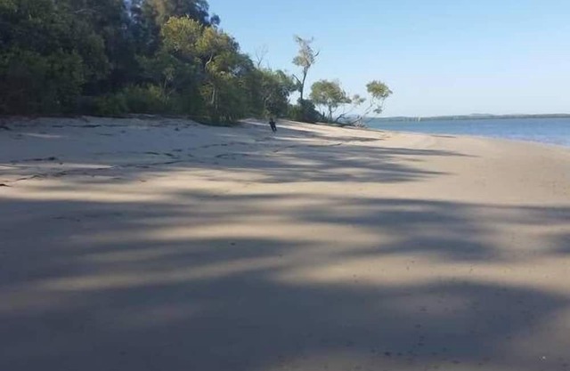 Pet and Family Friendly Peaceful Island W'front home, crabbing, kayaking, bikes