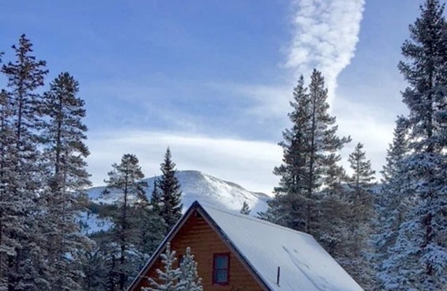 La familia perfecta de la cabina agradable en el bosque, a minutos del centro de Breckenridge