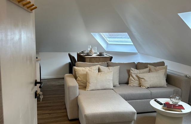 Cozy 1BR plus LR Apt Ghent Gravensteen