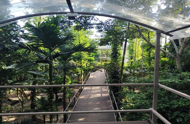 Irroi Kaziranga