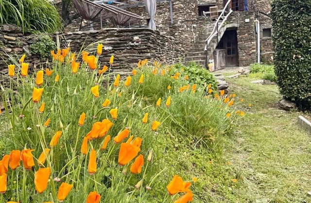Les Hôtes du Châtaignier