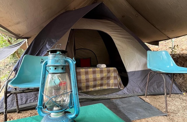 Wild Paradise Camp