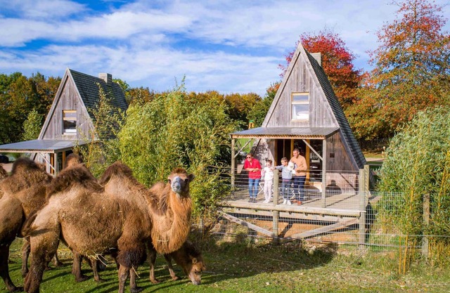CERZA SAFARI LODGES
