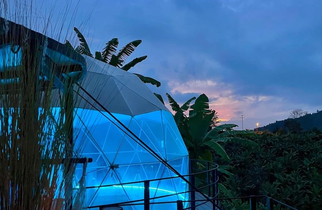 Chamí Glamping