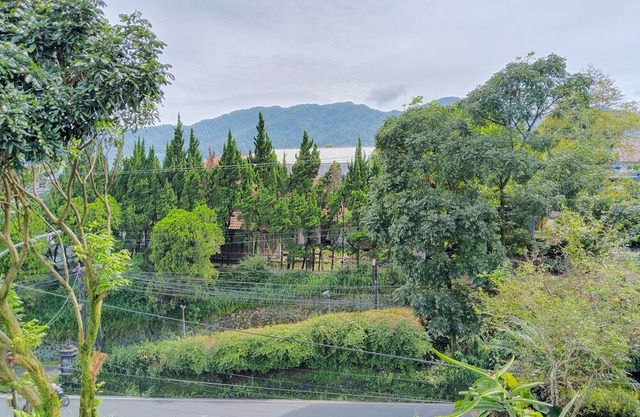Homestay Pall Inn