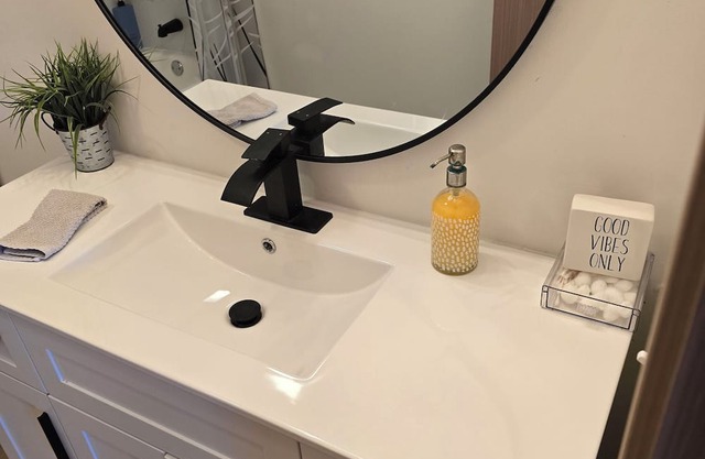 Lula Lake Cabin has 1,200 acres around it. Lula Lake Land Trust (LLLT)