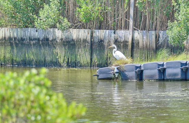 Hamptons Retreat w/Private Dock, Kayak & Canoe!