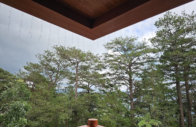 Forest Lodge Camp John Hay - Private