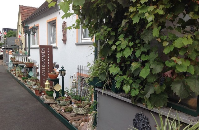 Villa Dominikus - Die Landpension mit Flair!