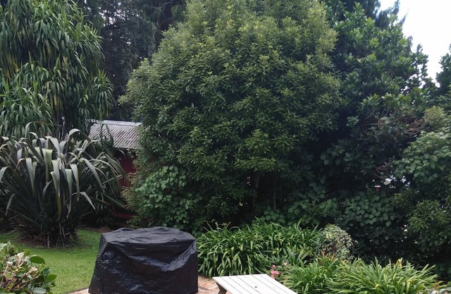 Ideal couples getaway in the beautiful, quiet hills of Karangahake Gorge.