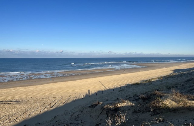 Maison 4 Chambres au Cœur des Landes à 10min des Plages - Idéale Familles